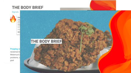 BodyBrief